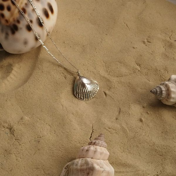 Limpet Shell Necklace