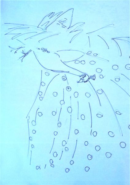 Peacock cock two drawing