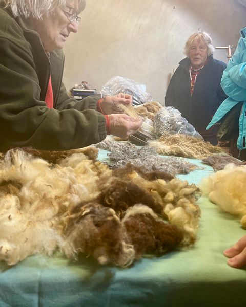 A visit too the Wool Shed in Evie, where Denise shows us different types of Orkney wool.