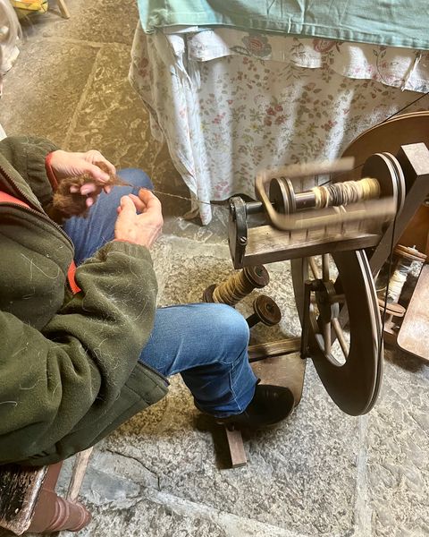 A visit to the Wool shed, where Denise shows us how to spin North Ronaldsay wool.