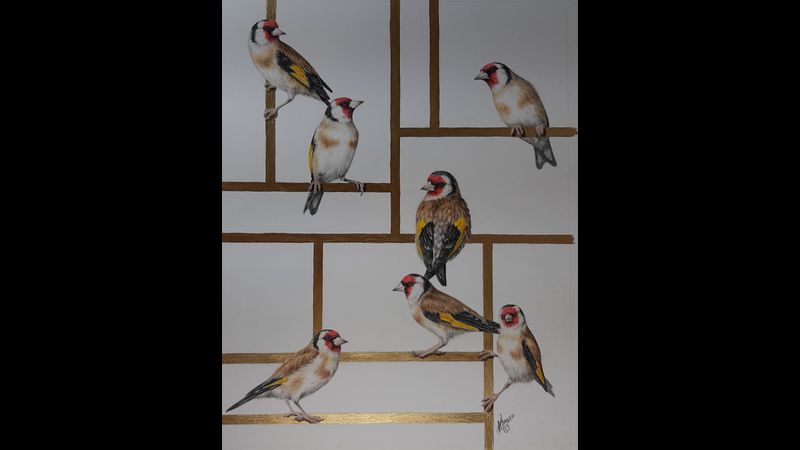 A charm of Goldfinches with Linda Hampson