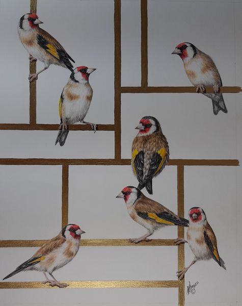 A charm of Goldfinches with Linda Hampson