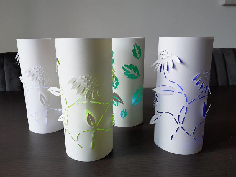 Students' botanical lanterns