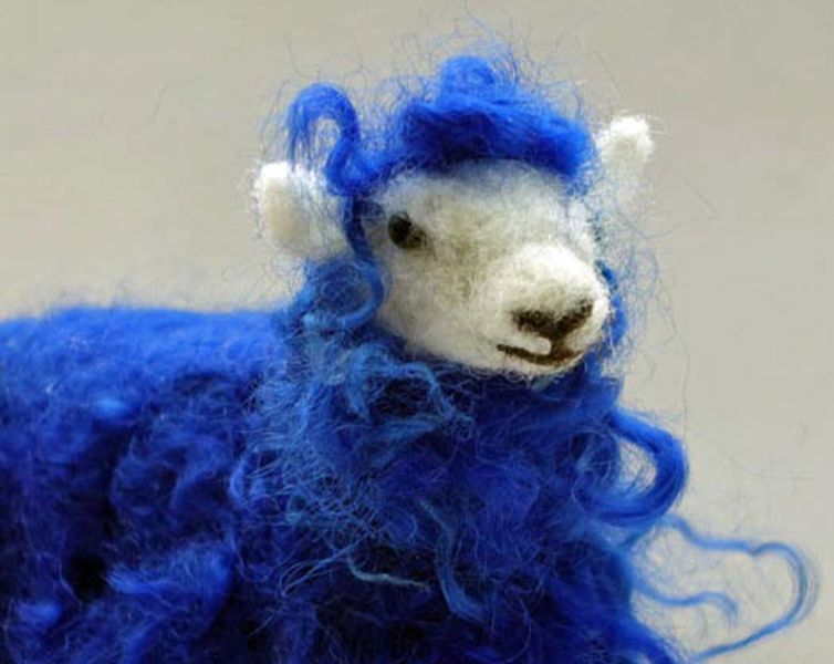 Funky blue and pink sheep