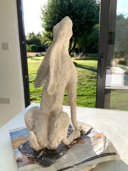Plaster stage of large hare 