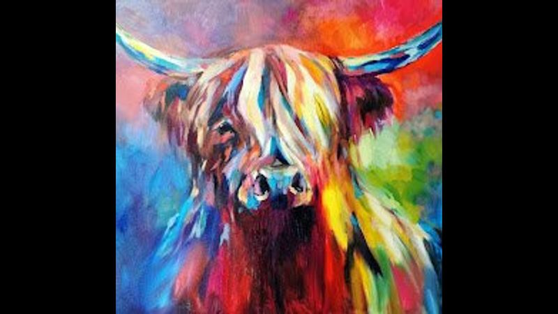 A rainbow coloured Highland Cow