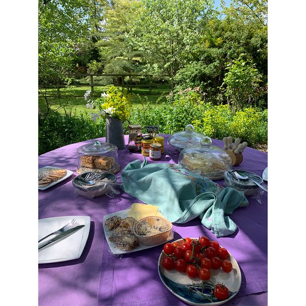 Lunches taken outside in the Blended Monkey gardens.
