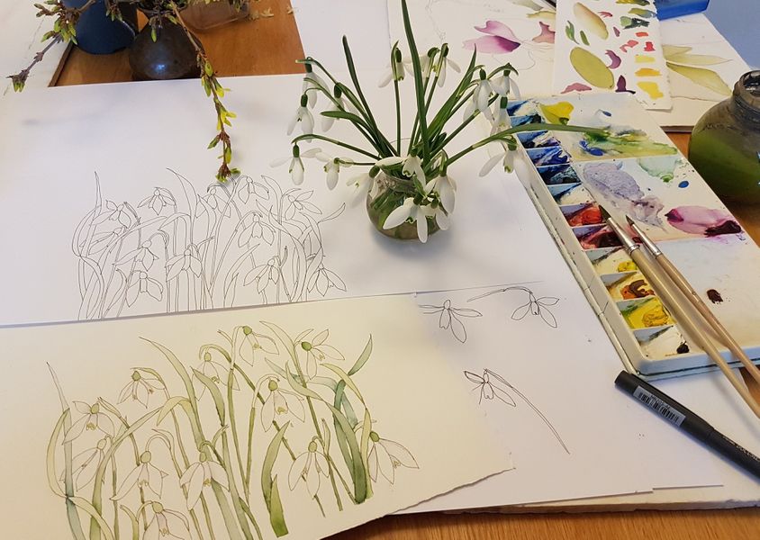 Students watercolour snowdrops from Watercolour Flower class at Cambridge Art Makers