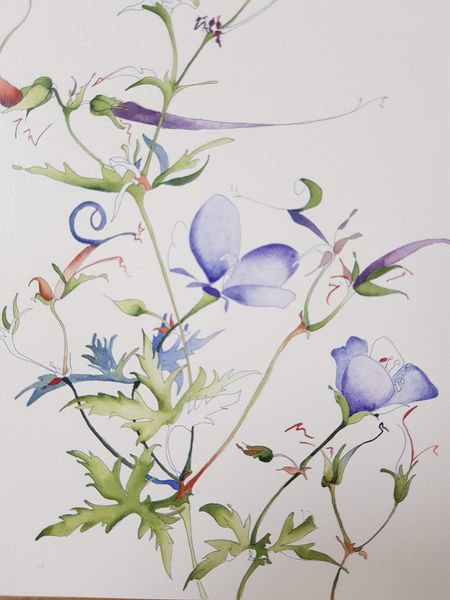 Janet Edwards watercolour flowers