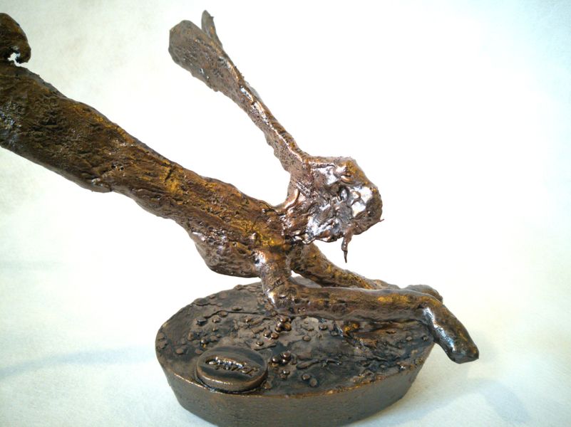 Head of a hare