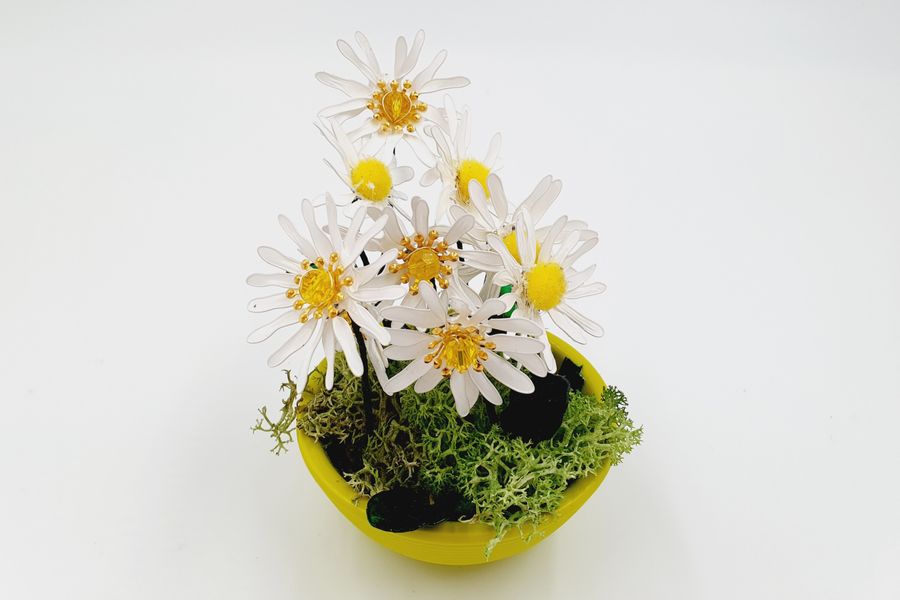 Daisies in a bowl
