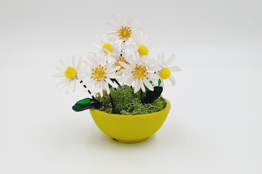 Note there are more than 6 daisies in this bowl