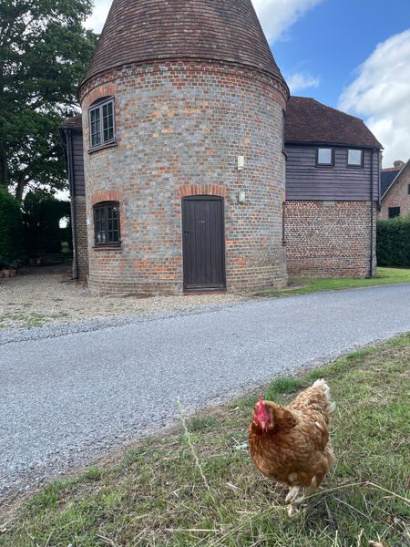 The Oast Studio and the Fram hens