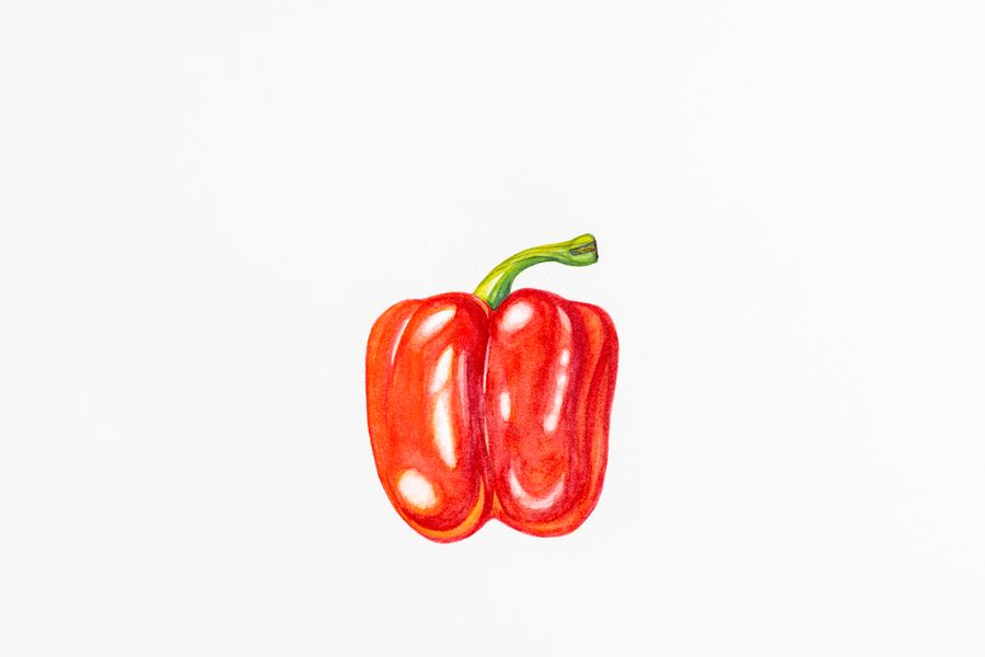 Bell Pepper Watercolour