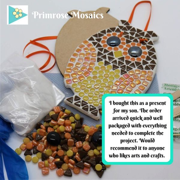 review owl craft kit