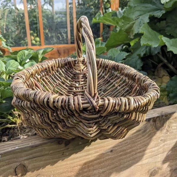 Willow Gathering Basket
