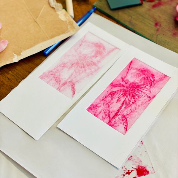 Drypoint print, echinacea coneflower plant in pink, by a student from a recent course.