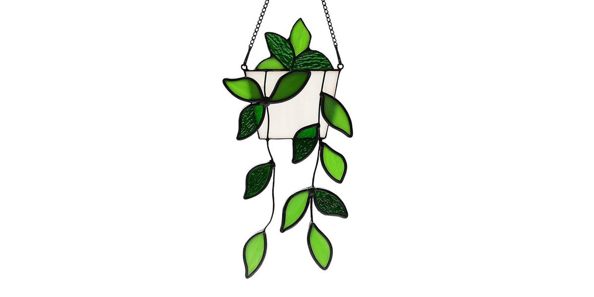 A Hanging vine in a Pot