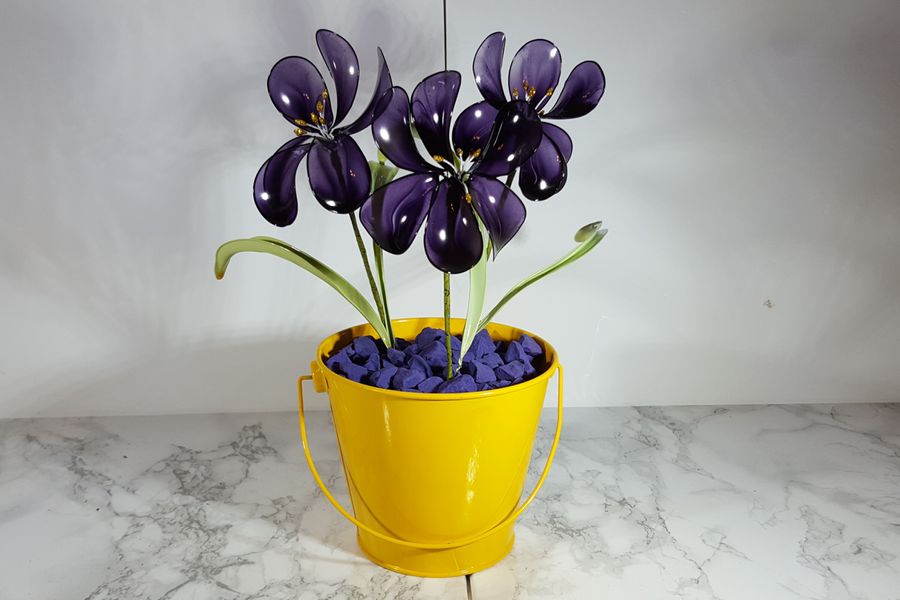 A pail of Irises in Violet
