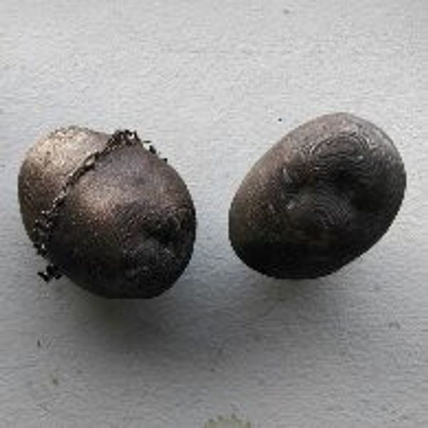 Bronze cast made from 3D printed potatoes