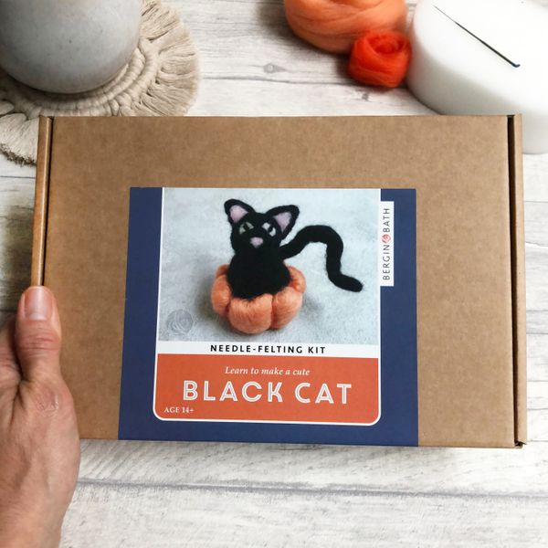 Cover of the kit box showing the black cat inside a pumpkin