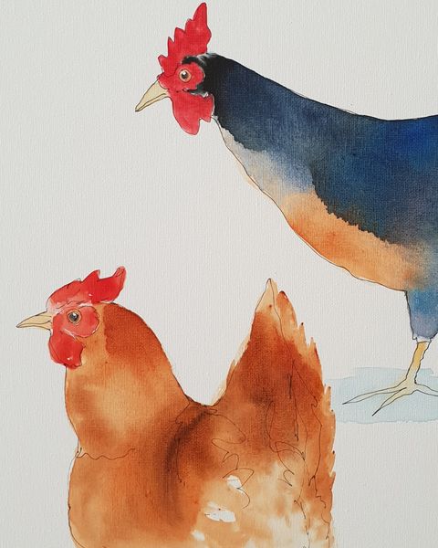 Chickens