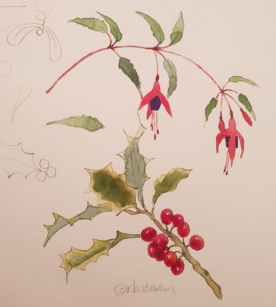 Holly and Fuchsia