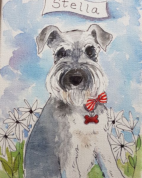 Schnauzer