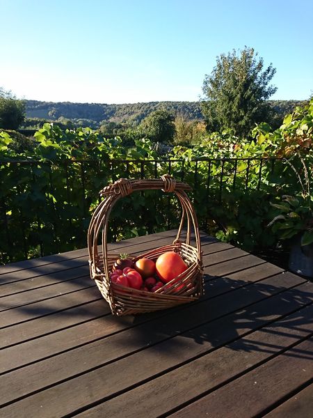 Small square basket