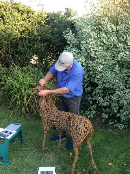 student this summer working on his deer