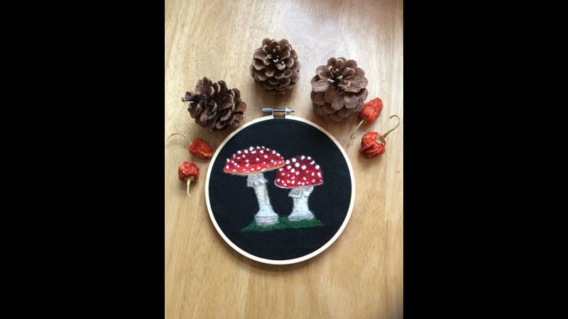 Completed Wool Painted Toadstool Picture.