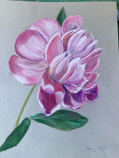 Learn how to use soft pastels at art classes with Worcestershire artist Raya Brown 