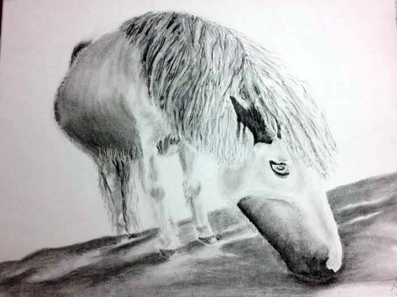 example of student's work in charcoal