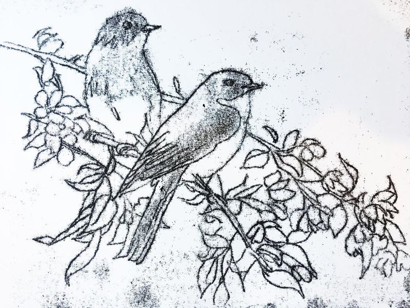 Birdie monoprint