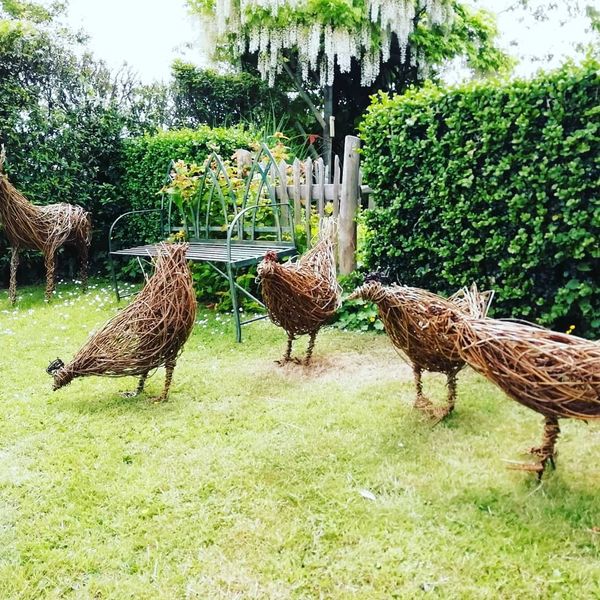 Chickens at Little Groves, Nursery ,Beaminster,Dorset