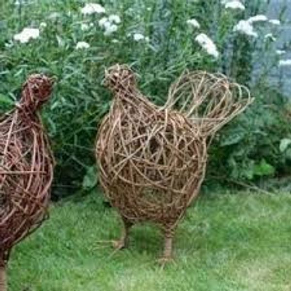 Willow Hens