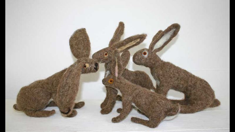 Hares made by student's