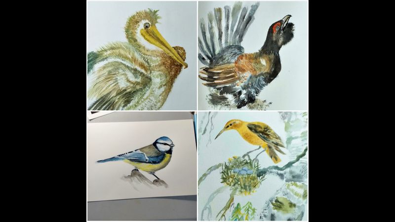 Learn how to paint birds in Watercolour at Raya's Art course in Kidderminster