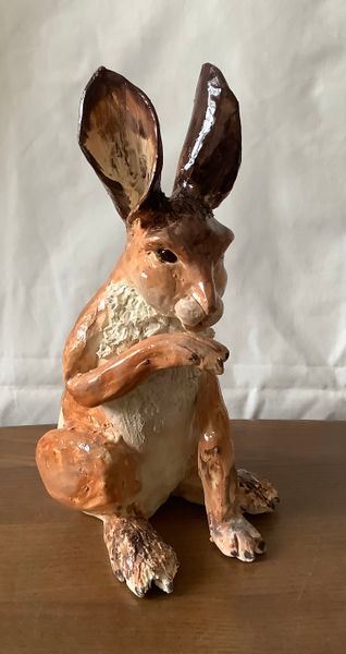 Medium hare