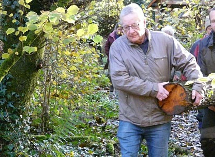 Fetching an Alder trunk