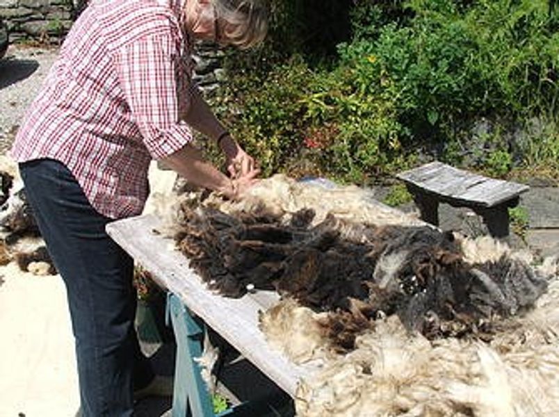 Sorting fleece