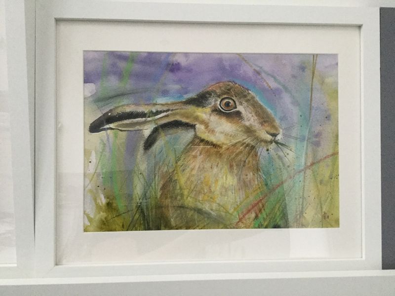 Watercolour rabbit