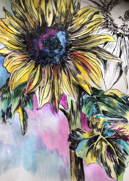 watercolour sunflower
