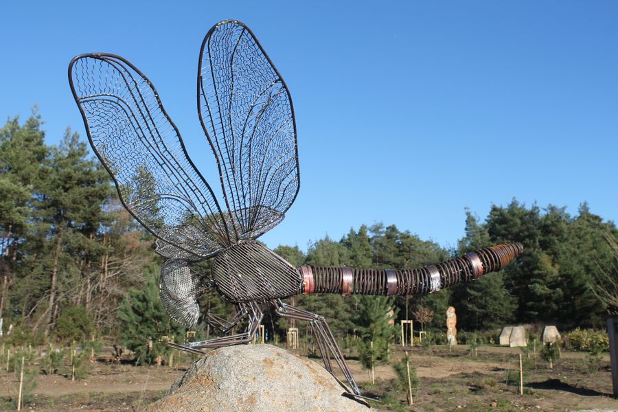 1.5 meter dragon fly 