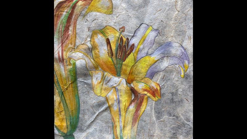 Watercolour lily
