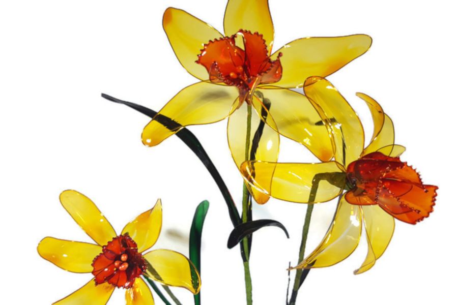 Close up of three daffodils