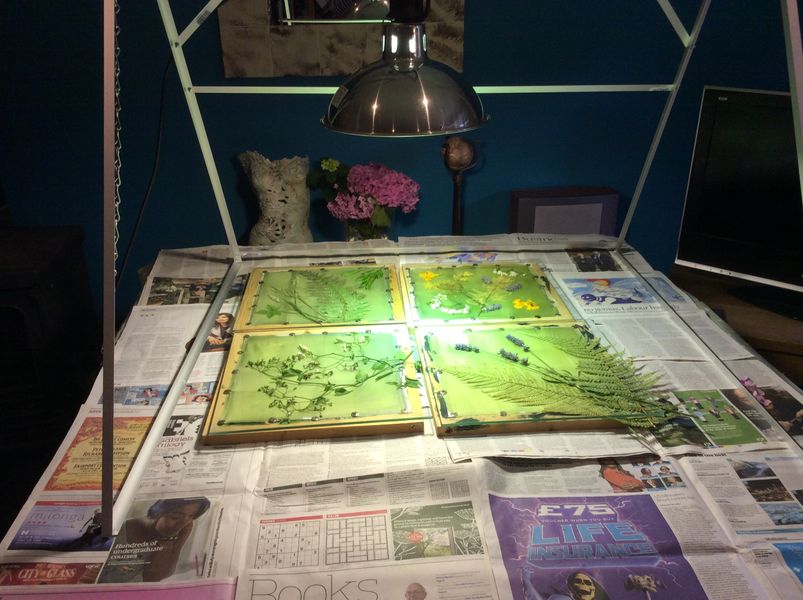 Sun lamp being used when raining