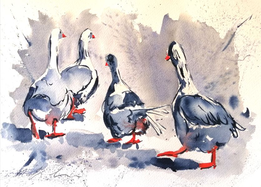 Geese in watercolour