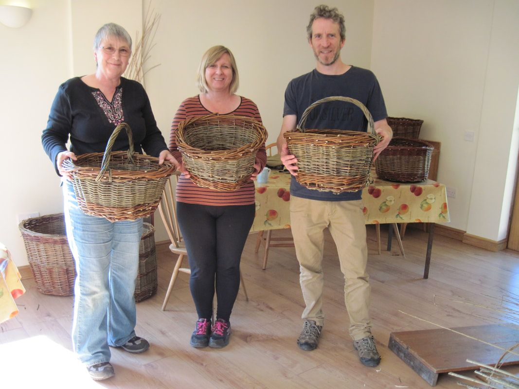 Basket making for beginners using traditional willow basketry