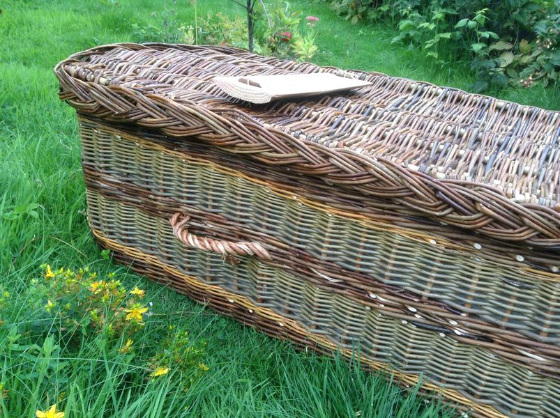 A tricoloured coffin with steamed, dicky meadows and golden willow